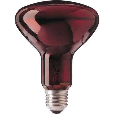 SANITAS Žárovka k infralampě 100 W SANITAS Žárovka k infralampě 100 W