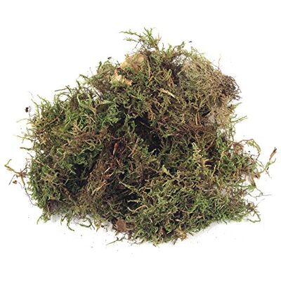 Rayher Deskový mech, sušený, btl. 100 g, sušený mech, dekorační mech, 8508300 Rayher Deskový mech, sušený, btl. 100 g, sušený mech, dekorační mech, 8508300