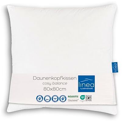 Pohovka komfort Böhmerwald - 70% peří / 30% prachové peří - 80x80cm Pohovka komfort Böhmerwald - 70% peří / 30% prachové peří - 80x80cm