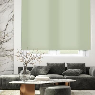 Blindecor Ara Roleta propouštějící světlo pastelově zelená 100 x 175 cm (ŠxV) Velikost látky 97 x 170 cm Rolety na okno Blindecor Ara Roleta propouštějící světlo pastelově zelená 100 x 175 cm (ŠxV) Velikost látky 97 x 170 cm Rolety na okno