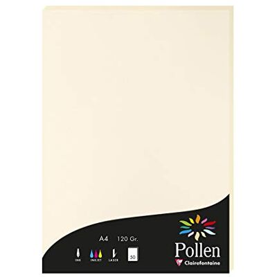 Clairefontaine 4204C 50 Blatt Briefpapier Pollen A4 120g Elfenbein Clairefontaine 4204C 50 Blatt Briefpapier Pollen A4 120g Elfenbein