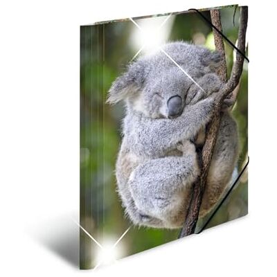 Herma Desky A4 Koala, dětské desky na rohové napínáky z plastu s motivem zvířete, vzhled s vysokým leskem, gumička, vnitřní klopy a vnitřní potisk pro chlapce a dívky Herma Desky A4 Koala, dětské desky na rohové napínáky z plastu s motivem zvířete, vzhled s vysokým leskem, gumička, vnitřní klopy a vnitřní potisk pro chlapce a dívky