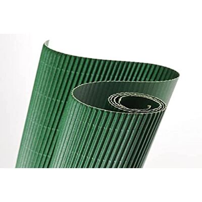 Canson 200992617 Rolle gewellte Pappe, Kartenkarton, 50 x 70 cm, grün Canson 200992617 Rolle gewellte Pappe, Kartenkarton, 50 x 70 cm, grün