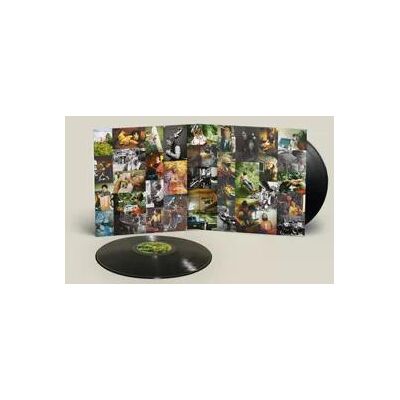 Big Thief - Dragon New Warm Mountain I Believe In You Lp Vinyl Big Thief - Dragon New Warm Mountain I Believe In You Lp Vinyl