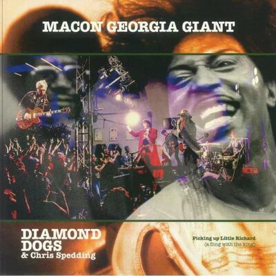 Diamond Dogs - Macon Georgia Giant Lp Vinyl Diamond Dogs - Macon Georgia Giant Lp Vinyl