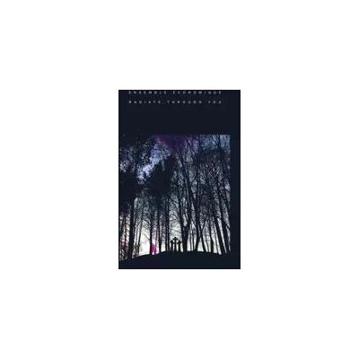 Ensemble Economique - Radiate Through You Lp Vinyl Ensemble Economique - Radiate Through You Lp Vinyl