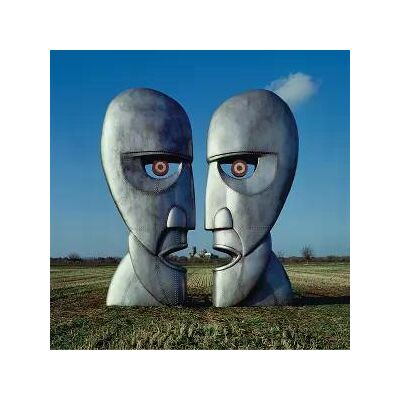 Pink Floyd - The Division Bell Lp Vinyl Pink Floyd - The Division Bell Lp Vinyl