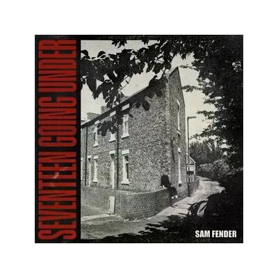 Sam Fender - Seventeen Going Under Lp Vinyl Sam Fender - Seventeen Going Under Lp Vinyl