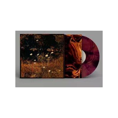 Szun Waves - Earth Patterns Lp Vinyl Szun Waves - Earth Patterns Lp Vinyl