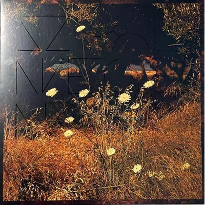 Szun Waves - Earth Patterns Lp Vinyl Szun Waves - Earth Patterns Lp Vinyl