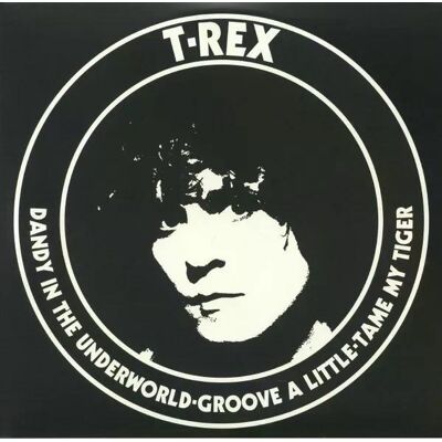 T. Rex - Dandy In The Underworld Lp Vinyl T. Rex - Dandy In The Underworld Lp Vinyl