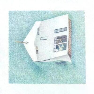 Danny Scott Lane - House Of Alice Lp Vinyl Danny Scott Lane - House Of Alice Lp Vinyl