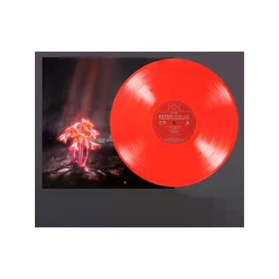 Enter Shikari - A Kiss For The Whole World Lp Vinyl Enter Shikari - A Kiss For The Whole World Lp Vinyl