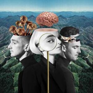 Atlantic CD Clean Bandit: What Is Love DLX Atlantic CD Clean Bandit: What Is Love DLX