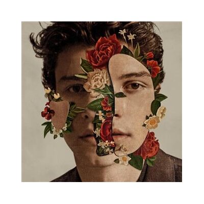 UNIVERSAL MUSIC Shawn Mendes UNIVERSAL MUSIC Shawn Mendes