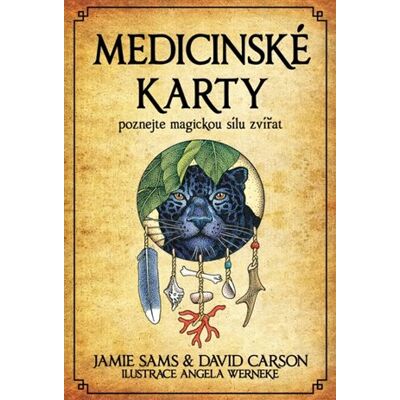 Synergie Medicinské karty (Kniha a 52 karet) Synergie Medicinské karty (Kniha a 52 karet)
