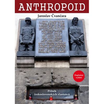 Centrum Anthropoid Centrum Anthropoid