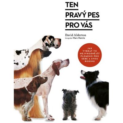 Pangea Ten pravý pes pro vás Pangea Ten pravý pes pro vás