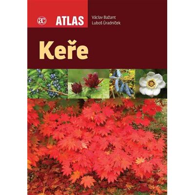 Academia Keře Academia Keře