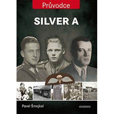 Academia Silver A Academia Silver A