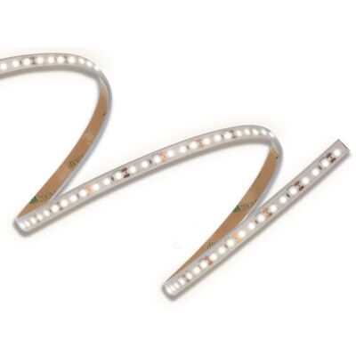 Pásek LED ORO 12 V 14 W/m 6 000 K Pásek LED ORO 12 V 14 W/m 6 000 K