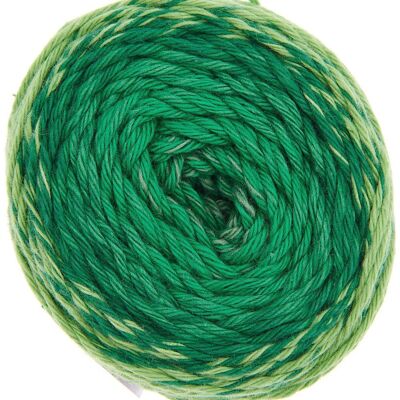 Rico Design Háčkovací příze Ricorumi Spin Spin odstín 013 zelená - 3 ks Rico Design Háčkovací příze Ricorumi Spin Spin odstín 013 zelená - 3 ks