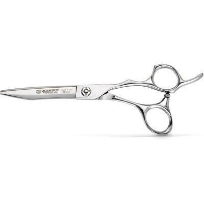Kiepe Hairdresser Scissors Razor Edge 2810 - profesionální kadeřnické nůžky VÝPRODEJ: 2810.55 - 5.5" Kiepe Hairdresser Scissors Razor Edge 2810 - profesionální kadeřnické nůžky VÝPRODEJ: 2810.55 - 5.5"