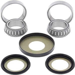 ALL BALLS ložiska řízení s těsnícími prvky SUZUKI RMZ 250 08-24, RMZ 450 08-24, RMX 450 10-11 (ALL BALLS ložiska řízení s těsnícími prvky SUZUKI RMZ) ALL BALLS ložiska řízení s těsnícími prvky SUZUKI RMZ 250 08-24, RMZ 450 08-24, RMX 450 10-11 (ALL BALLS ložiska řízení s těsnícími prvky SUZUKI RMZ)