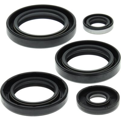 WINDEROSA (VERTEX) sada těsnění motoru KAWASAKI KVF400A PRAIRIE 4X4 97-98, KVF400B PRAIRIE 98, KVF400C PRAIRIE 4X4 99-02 ( ) WINDEROSA (VERTEX) sada těsnění motoru KAWASAKI KVF400A PRAIRIE 4X4 97-98, KVF400B PRAIRIE 98, KVF400C PRAIRIE 4X4 99-02 ( )