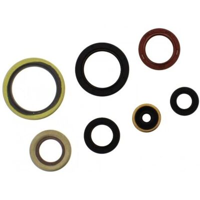 Athena sada gufer motoru GAS GAS EC 2T 250 / 300 '21-'26, KTM EXC 250 / 300 '17-'26, EXC 250 TPI '18-'26, SX 250 '17-'26, HUSQVARNA TE 250 / 300 Athena sada gufer motoru GAS GAS EC 2T 250 / 300 '21-'26, KTM EXC 250 / 300 '17-'26, EXC 250 TPI '18-'26, SX 250 '17-'26, HUSQVARNA TE 250 / 300