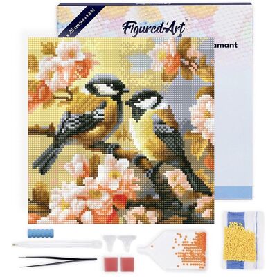 ART Mini diamantové malování - Dva Ptáčci Na Kvetoucí Větvičce na rámu 25x25cm ART Mini diamantové malování - Dva Ptáčci Na Kvetoucí Větvičce na rámu 25x25cm
