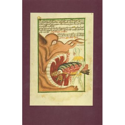 Gallery Praha The Jena Codex Gallery Praha The Jena Codex