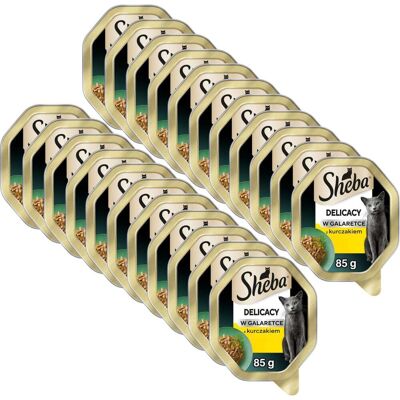 SHEBA Delicacy s kuřetem v želé 22x85 g krmivo pro kočky SHEBA Delicacy s kuřetem v želé 22x85 g krmivo pro kočky