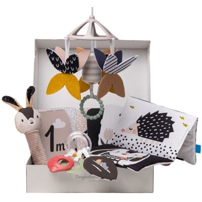 Taf Toys Sada hraček Black&White; Kit Taf Toys Sada hraček Black&White; Kit