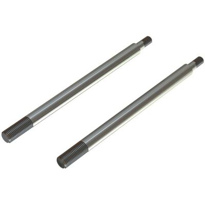 Arrma pístnice tlumiče 6x95mm (2) Arrma pístnice tlumiče 6x95mm (2)