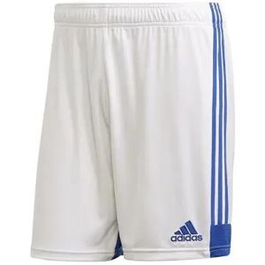 Pánské šortky Tastigo 19 M FI6355 Bílo-modrá - Adidas bílá/modrá XL Pánské šortky Tastigo 19 M FI6355 Bílo-modrá - Adidas bílá/modrá XL