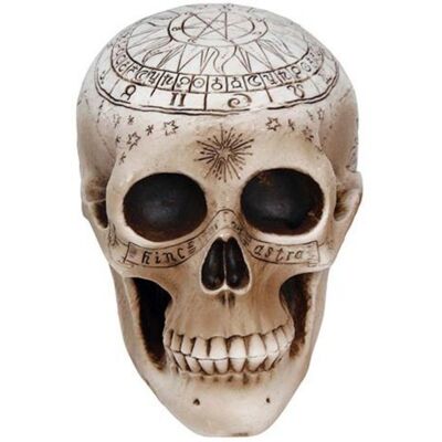 Fiestas Guirca Halloweenská dekorace - lebka s ornamenty 20 cm Fiestas Guirca Halloweenská dekorace - lebka s ornamenty 20 cm