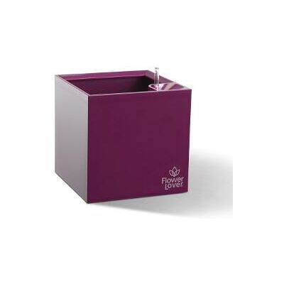 Plastkon Samozavlažovací květináč Cubico 33x33x33 cm, fialový Plastkon Samozavlažovací květináč Cubico 33x33x33 cm, fialový