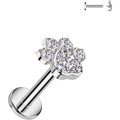 Piercing do brady - labreta tlapka TITAN (1,2 x 6 mm) Piercing do brady - labreta tlapka TITAN (1,2 x 6 mm)