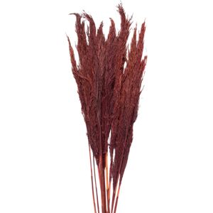 Clayre & Eef Vínová kytice sušené květy bambusu Bamboo – 100 cm Clayre & Eef Vínová kytice sušené květy bambusu Bamboo – 100 cm