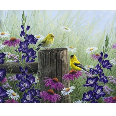 ART Malování podle čísel - ZLATOHLAVÍ PTÁCI na rámu 40 x 50 cm ART Malování podle čísel - ZLATOHLAVÍ PTÁCI na rámu 40 x 50 cm
