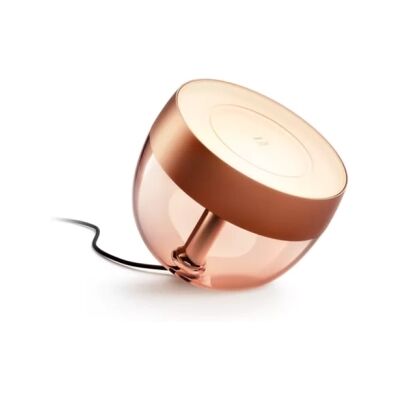 Stolní LED lampička Philips Hue Iris Copper Special Edition Stolní LED lampička Philips Hue Iris Copper Special Edition