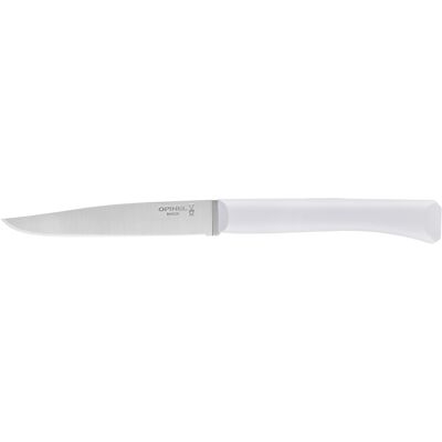 Opinel Bon Appetit steakový nůž s polymerovou rukojetí, šedobílý, čepel 11 cm 1900 Opinel Bon Appetit steakový nůž s polymerovou rukojetí, šedobílý, čepel 11 cm 1900