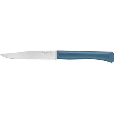 Opinel Bon Appetit steakový nůž s polymerovou rukojetí, tyrkysový, čepel 11 cm 2190 Opinel Bon Appetit steakový nůž s polymerovou rukojetí, tyrkysový, čepel 11 cm 2190