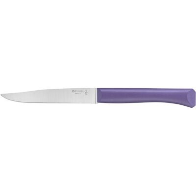 Opinel Bon Appetit steakový nůž s polymerovou rukojetí, fialový, čepel 11 cm 2191 Opinel Bon Appetit steakový nůž s polymerovou rukojetí, fialový, čepel 11 cm 2191