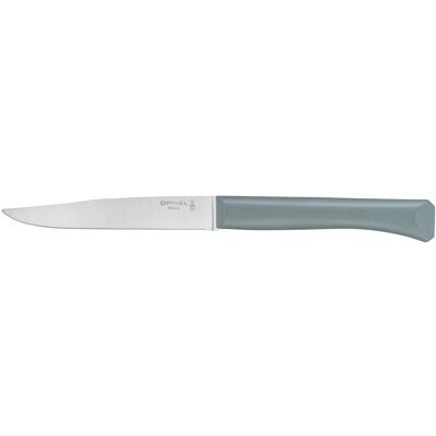 Opinel Bon Appetit steakový nůž s polymerovou rukojetí, šalvějový, čepel 11 cm 2195 Opinel Bon Appetit steakový nůž s polymerovou rukojetí, šalvějový, čepel 11 cm 2195
