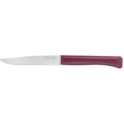 Opinel Bon Appetit steakový nůž s polymerovou rukojetí, granátový, čepel 11 cm 2196 Opinel Bon Appetit steakový nůž s polymerovou rukojetí, granátový, čepel 11 cm 2196