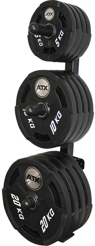 Megafitness Shop Wandhalter für Hantelscheiben - Plate Tree - Wall 50 mm