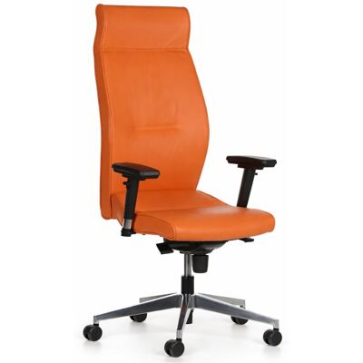 Antares Echtleder-Bürostuhl MEGA - Ergonomisch, Verstellbare 3D Armlehnen Antares Echtleder-Bürostuhl MEGA - Ergonomisch, Verstellbare 3D Armlehnen