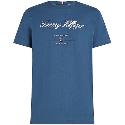 Tommy Hilfiger T-Shirt blau XL herren Tommy Hilfiger T-Shirt blau XL herren